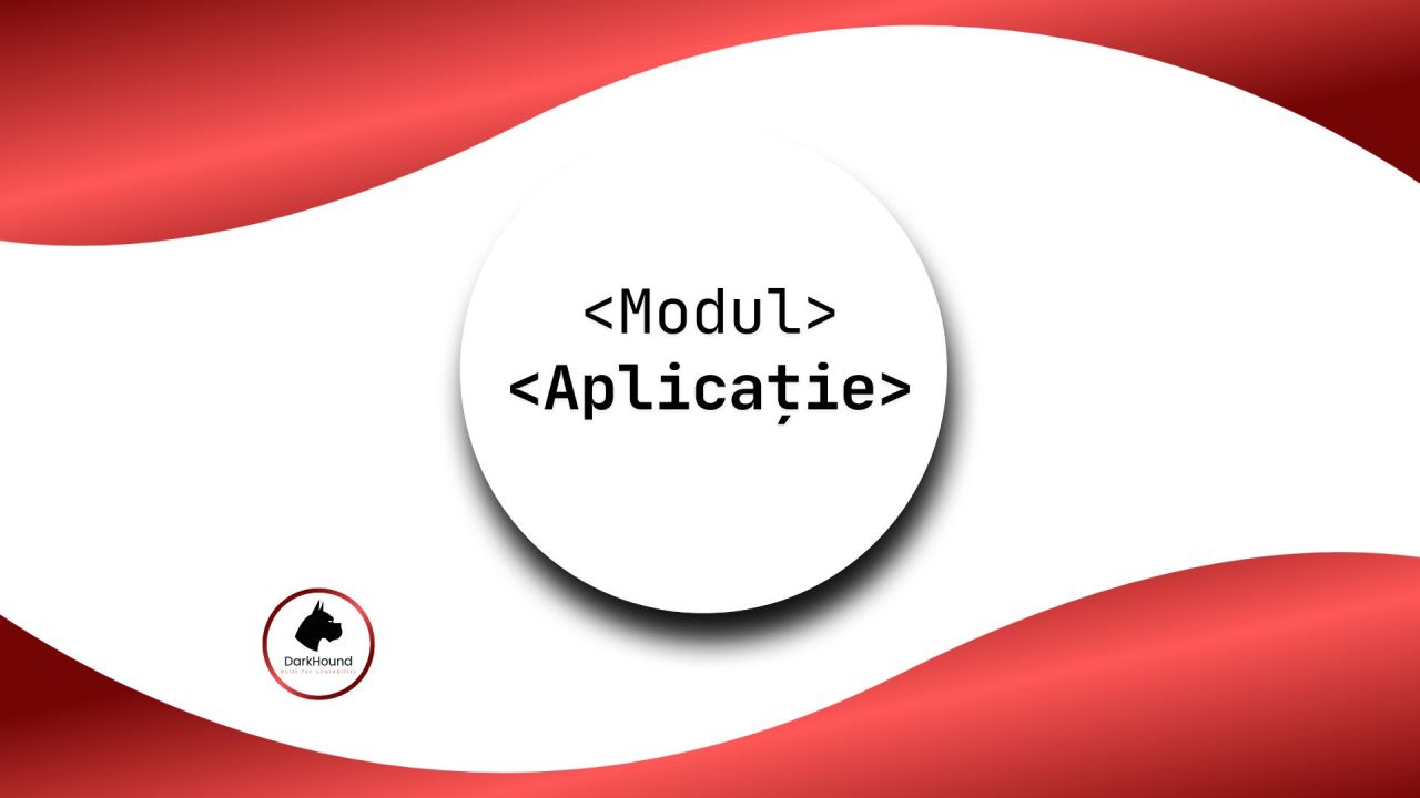 Modul aplicatie
