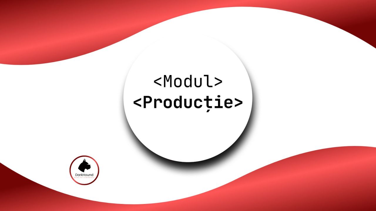 Modul Productie