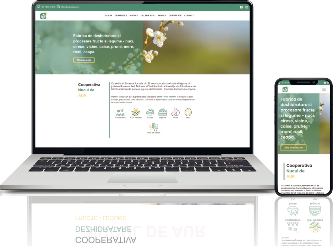 Cooperativa Nucul de Aur