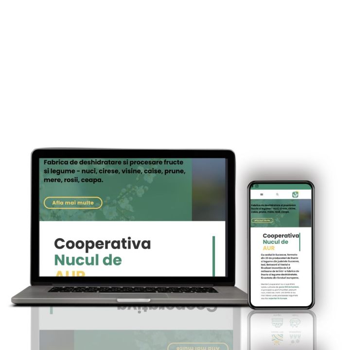 Realizare site web