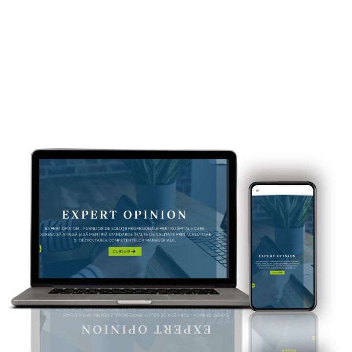 Website de prezentare pentru servicii de consultanță și management