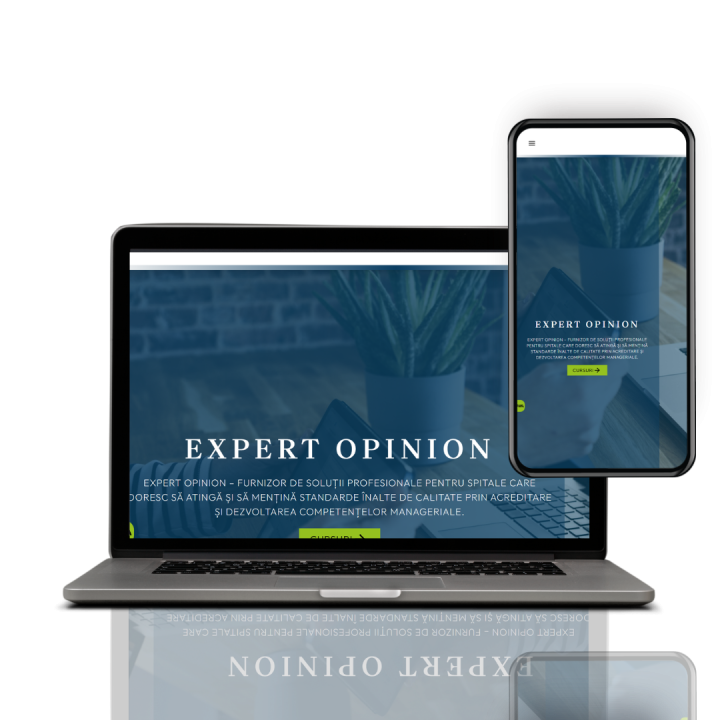 Website de prezentare pentru servicii de consultanță și management