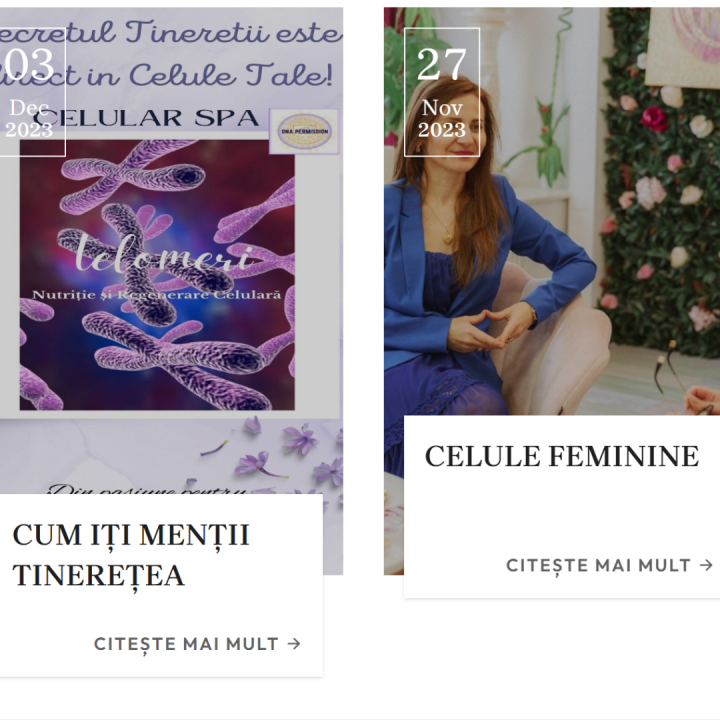 Galerie imagini 1